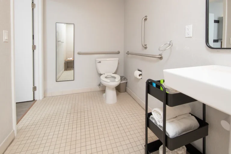 Newly Decorated Toilet